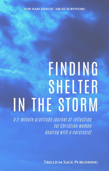 Finding Shelter in the Storm